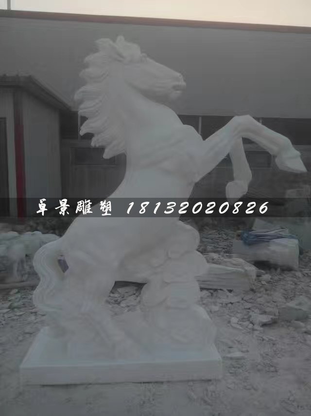 馬踏祥云石雕，漢白玉石雕馬 (3)