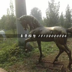 馬銅雕，公園動物銅雕