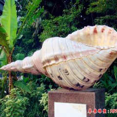 植物園玻璃鋼仿真海螺雕塑